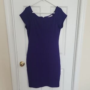 Bisou Bisou Purple Dress
